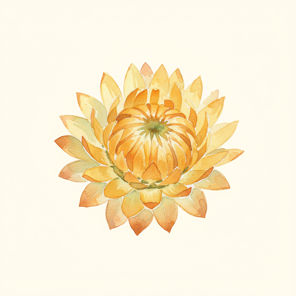 Strawflower